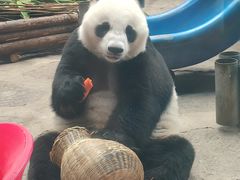 -石家庄市动物园