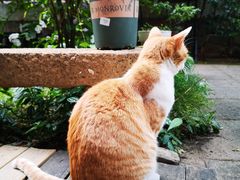 -厦门良筑精品酒店(厦门中山路店)