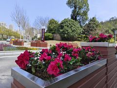 -桃花岭景区