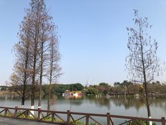 -海珠湖公园