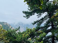 -华山风景名胜区