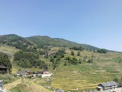 -紫鹊界梯田景区
