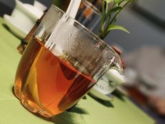 -诗宇时光茶艺书法古琴培训