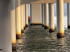 -深圳湾公园(南山区)