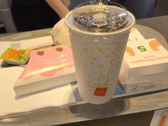 -麦当劳(衡阳中心汽车站店)