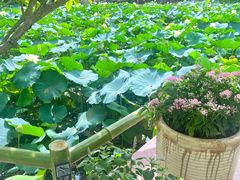 -广州莲花山旅游区