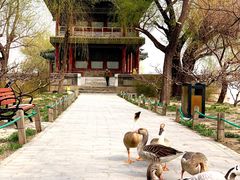 -颐和园-景明楼