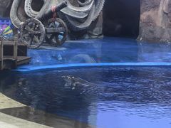 -华夏文旅海洋公园