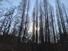 -棒棰岛宾馆景区