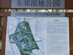 -东郊湿地公园