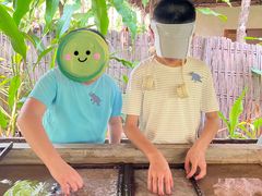 -大象粑粑造纸公园