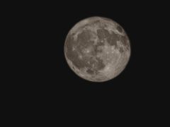 -星巴克(北京新奥购物中心店)