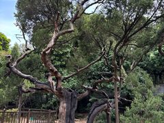 -草庵摩尼教遗址公园