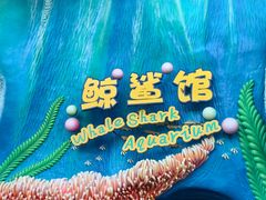 -珠海长隆海洋王国