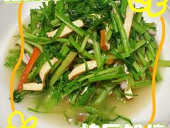 -阿露佳·舌尖上的安吉菜