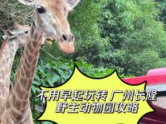 -广州长隆野生动物世界