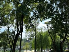-莲湖公园