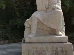 -上海市杨浦区中医医院