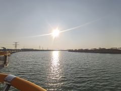 -漕湖湿地公园