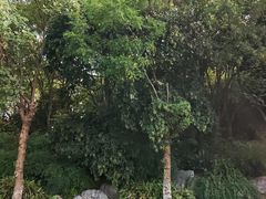 -戏马台景区