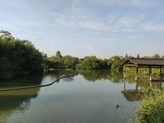 -西溪国家湿地公园