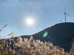 -缺牙山山庄
