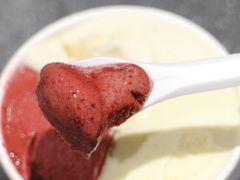 -Dip in Gelato(富民路店)