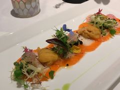 -蝶舍·MAISON PAPILLON