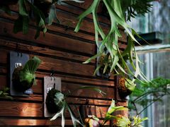 -国家植物园南园