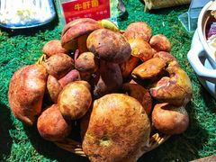 -朱家小厨(红塔西路店)