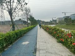 -长洲岛