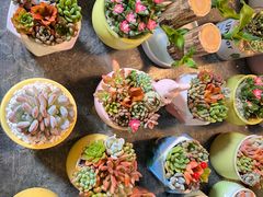 -双季花艺园艺市场(浦东店)