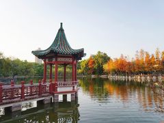 -东莞市可园博物馆