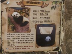 -正佳雨林生态植物园