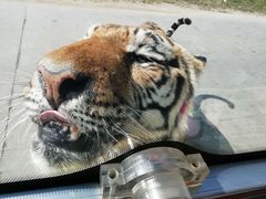 -西安秦岭野生动物园