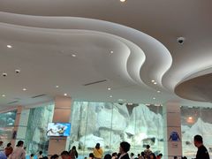 -帝企鹅自助餐厅•儿童岛•真企鹅(长隆企鹅酒店)