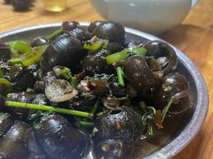 炒螺-辉辉大排档