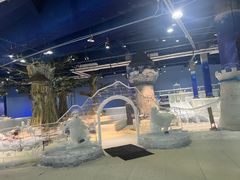 -广州热雪奇迹