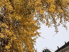 -金堂县云顶石城风景区