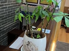 -雅享养生·中医调理·筋骨艾灸(广兰路店)