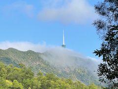 -深圳仙湖植物园