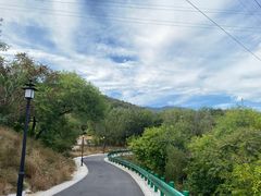 -白水寺森林公园