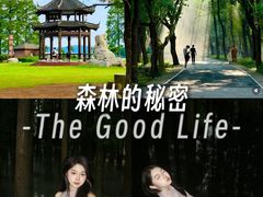 -东湖落雁景区