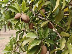 -中国移动南方基地