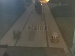 -蚂蚁搬家成都打包搬运公司
