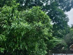 -天河潭旅游度假区
