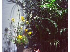 云间宿-云间宿茶空间(嘉杰国际广场店)