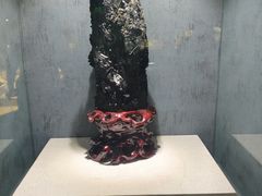 -河南自然博物馆