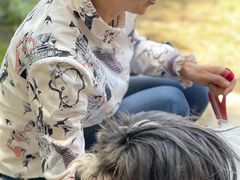 -南翔镇银翔湖公园