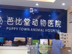 -芭比堂动物医院·24小时·眼科中心(深圳中心)